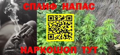 СК Обь