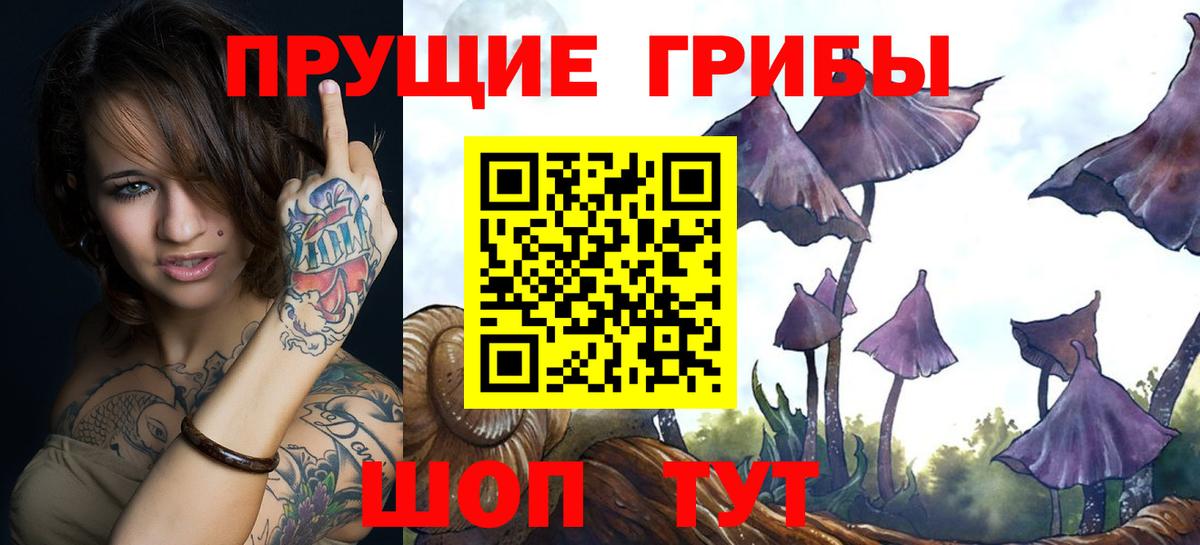 COCAIN  LSD-25  ГАШИШ  Альфа ПВП СК кристаллы  ГАШИШ  МДМА  Меф кристаллы  Светлоград  Где продают наркотики?  Вход с VPN  МАРИХУАНА 