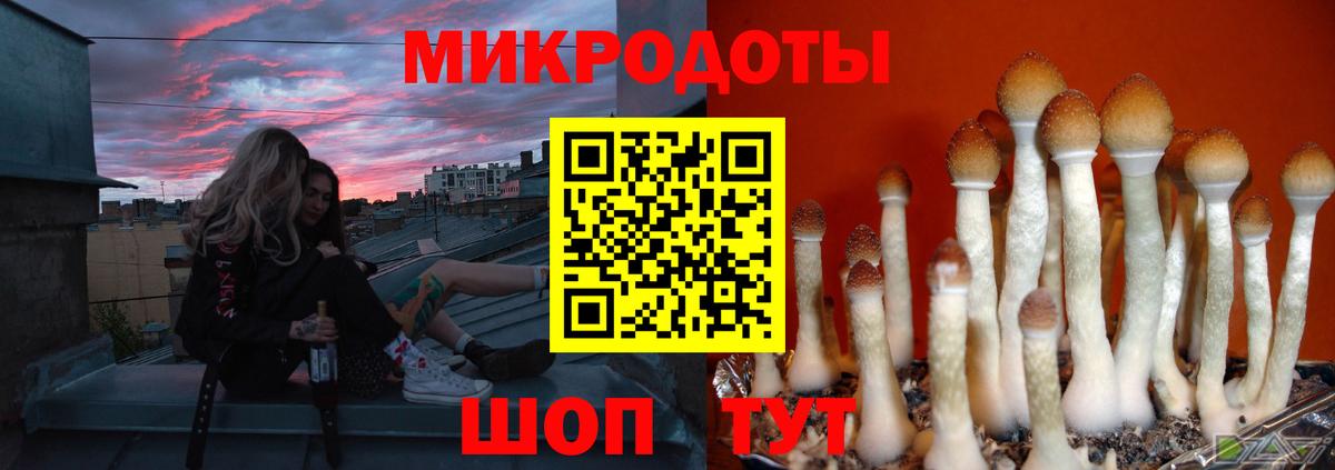 Галлюциногенные грибы Cubensis Светлоград